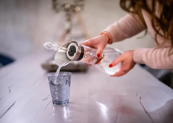 Tosca - Vinny Sklep Prušánky